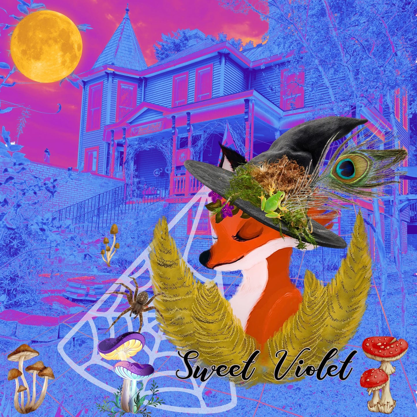 Witchy Hat Bar - Clarksville, VA